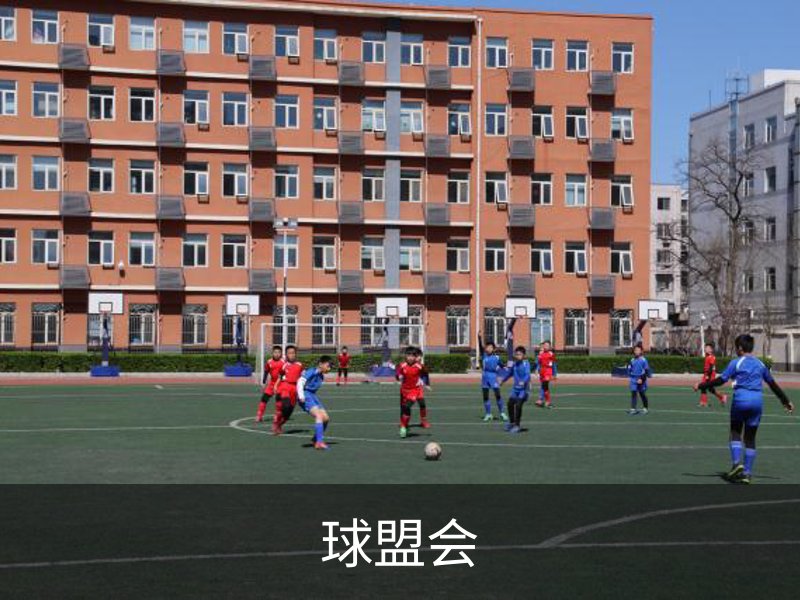 关于球盟会
